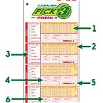south carolina lottery pick 3 evening